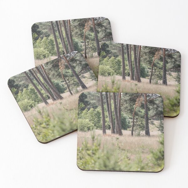Item preview, Dutch Pine Trees at Meadow designed and sold by PhotosByVille.