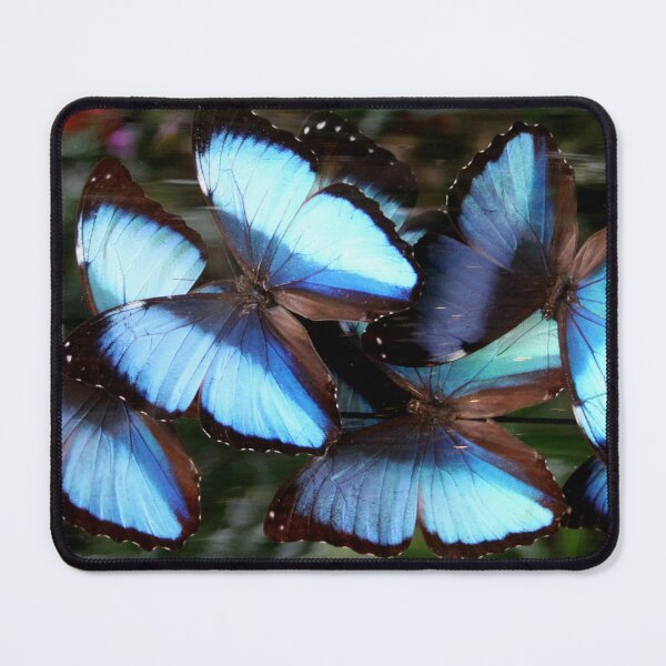Item preview, Peleides Blue Morpho Art designed and sold by Jo Nijenhuis.