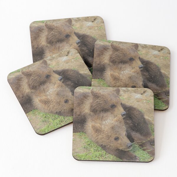 Item preview, Two adorable bear cubs designed and sold by MH65Designs.