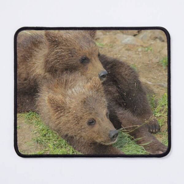 Item preview, Two adorable bear cubs designed and sold by MH65Designs.