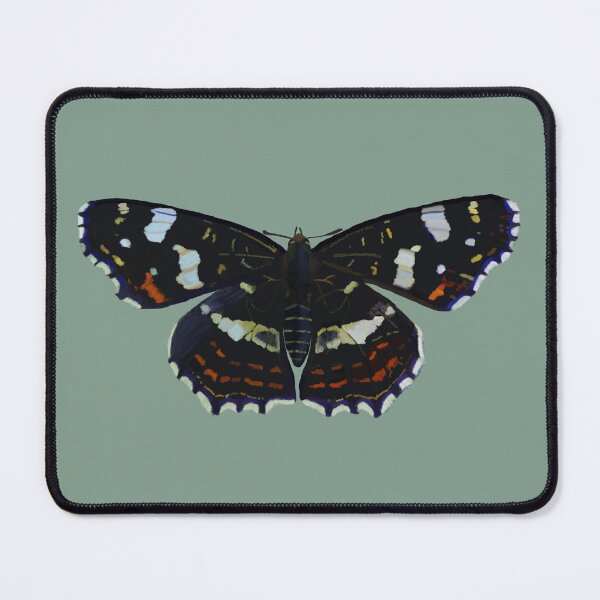 Item preview, Map Butterfly in Summer designed and sold by Arts and Herbs.