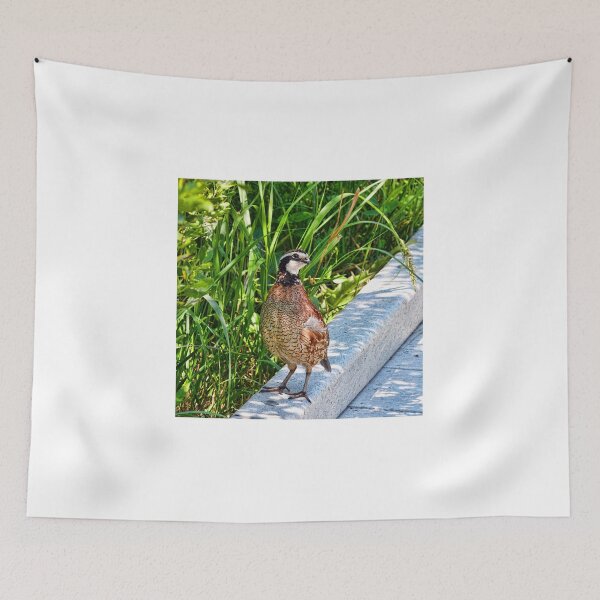 Item preview, You Meet The Coolest Creatures On A Nature Walk  designed and sold by Lanis Rossi.