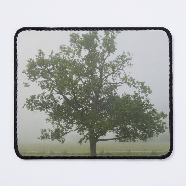 Item preview, Lonely oak tree designed and sold by Julia Pärnänen.