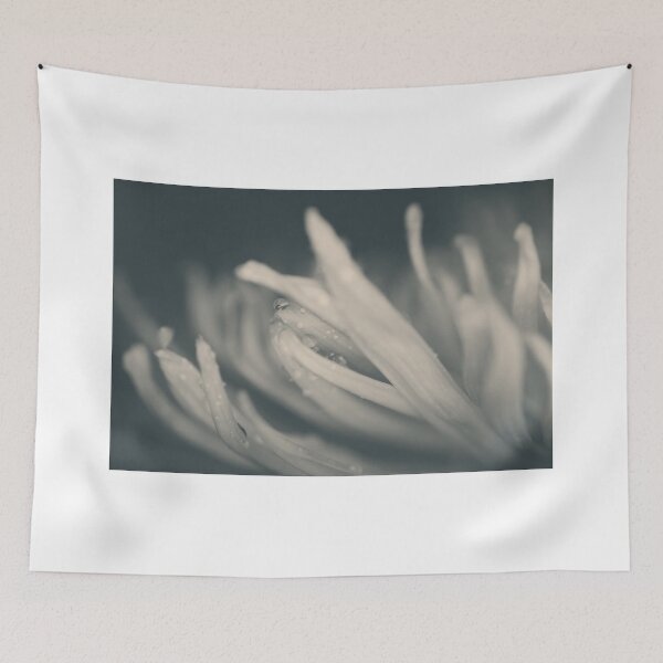 Item preview, Reach Out and I'll Be There designed and sold by Laurie Search Fine Art Photography.