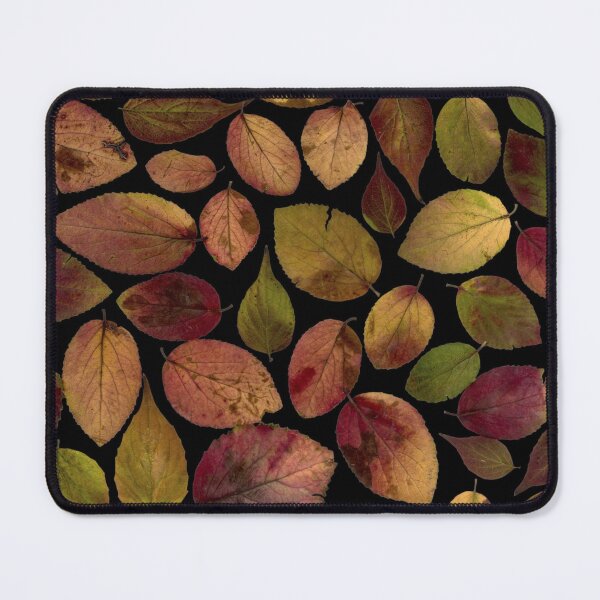 Item preview, Maple leaves arranged on a flat surface from Wikimedia Common designed and sold by Warih.