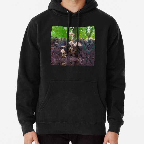 Dissolution 16 Pullover Hoodie