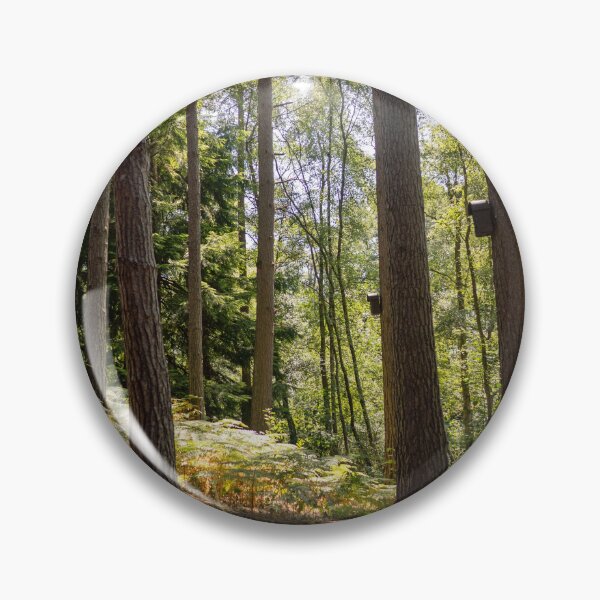 Artikelvorschau, Komorebi-Sonnenschein, der durch die Bäume filtert entworfen und verkauft von santoshputhran.