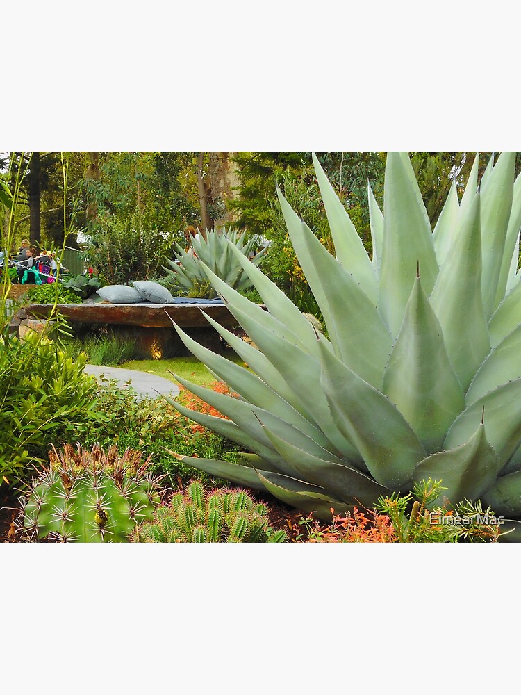 Tropical Garden by EimearMac