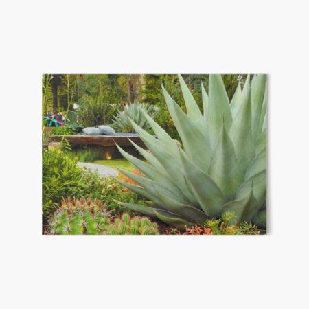 Tropical Garden Art Board Print