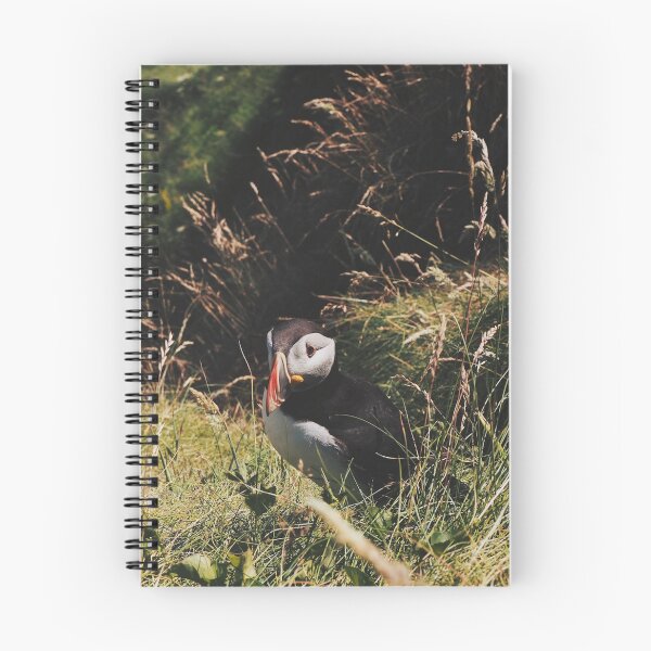 Item preview, Lone Puffin On Staffa Island designed and sold by Emilia Oxelheim.