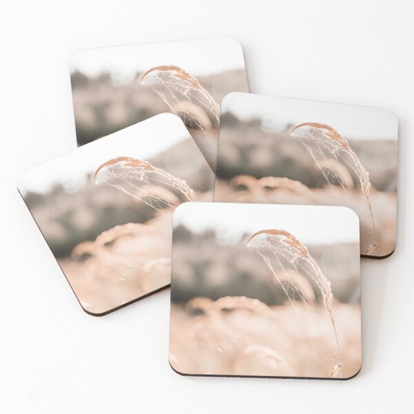 Item preview, Dry grass with spider's web on a beige background. Fine art photography. Ukraine designed and sold by Katenaz.