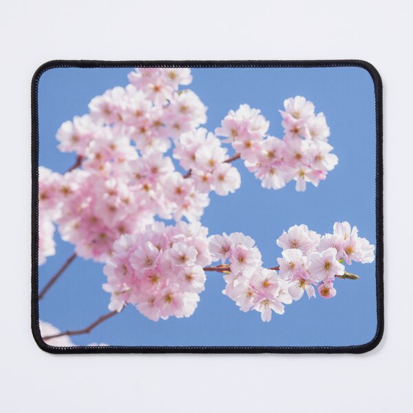 Item preview, Delicate pastel pink blossom in spring time designed and sold by CyaniRose.