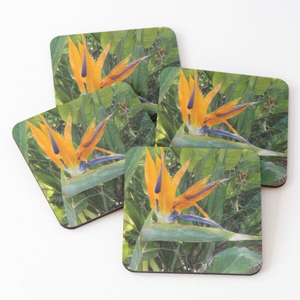 Item preview, Bird of paradise flower, Strelitzia designed and sold by Artis-t-fun.