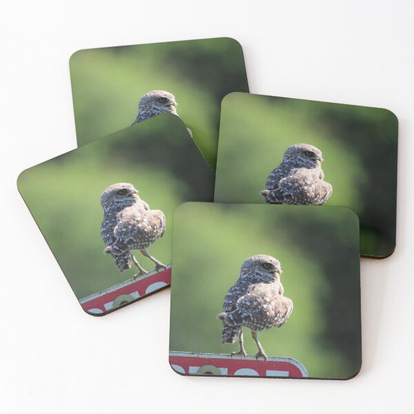 Item preview, A Compelling Storyteller  designed and sold by Michiale.