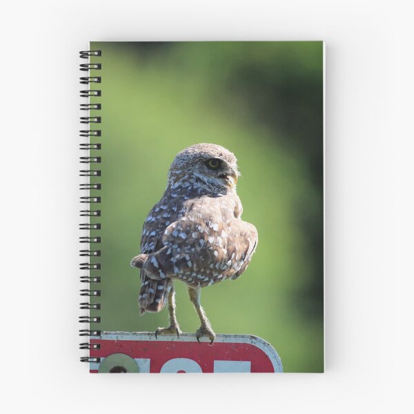 Item preview, A Compelling Storyteller  designed and sold by Michiale.