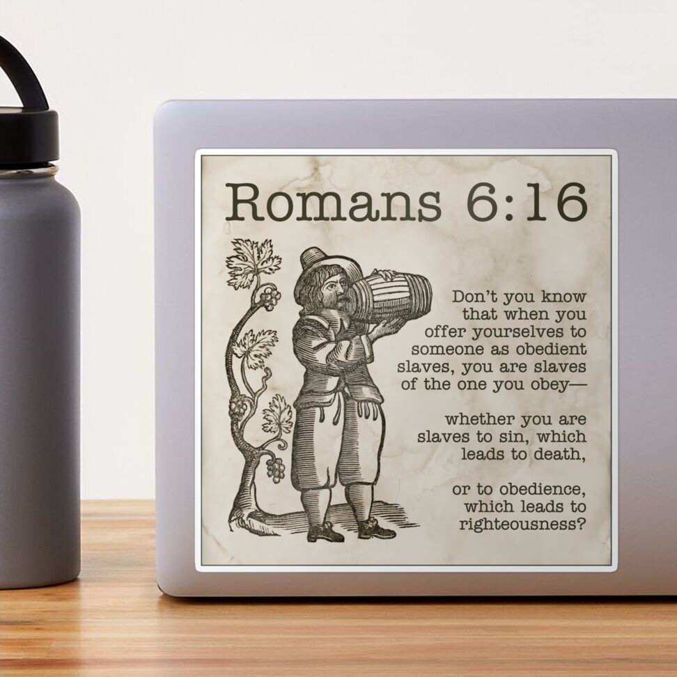 Romans : 6 poches renversants