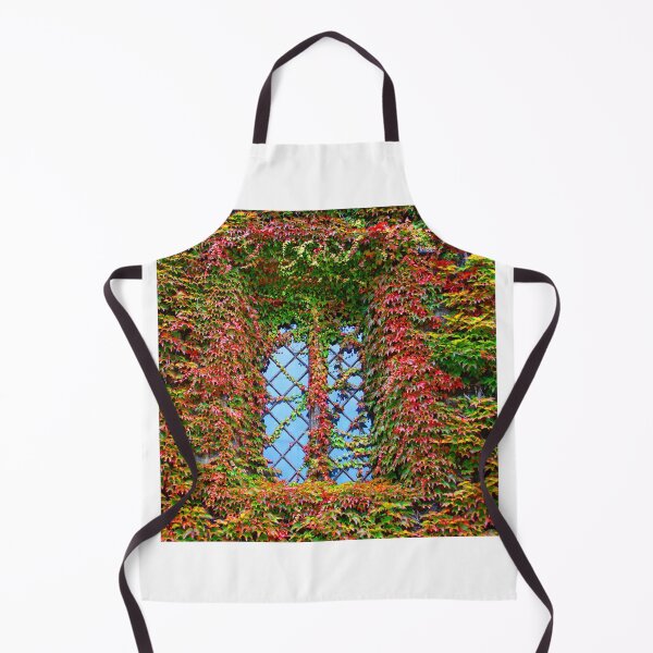 Item preview, Window designed and sold by AdamsGrandad.
