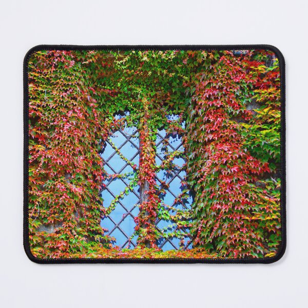 Item preview, Window designed and sold by AdamsGrandad.