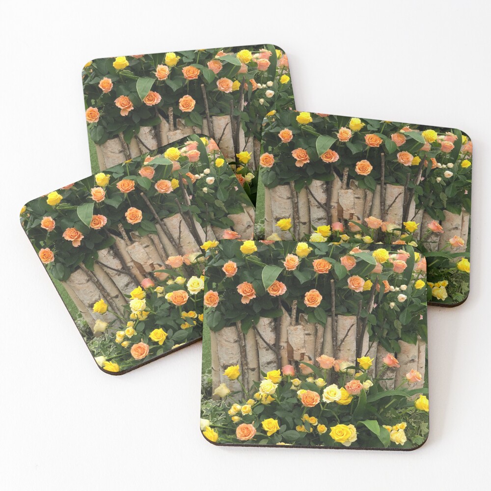 Item preview, Coasters (Set of 4) designed and sold by SpringHorse.