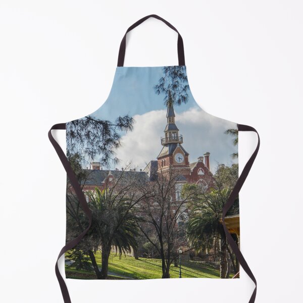 Item preview, View to Bendigo Girls School from Rosalind Park designed and sold by Steven Jodoin.