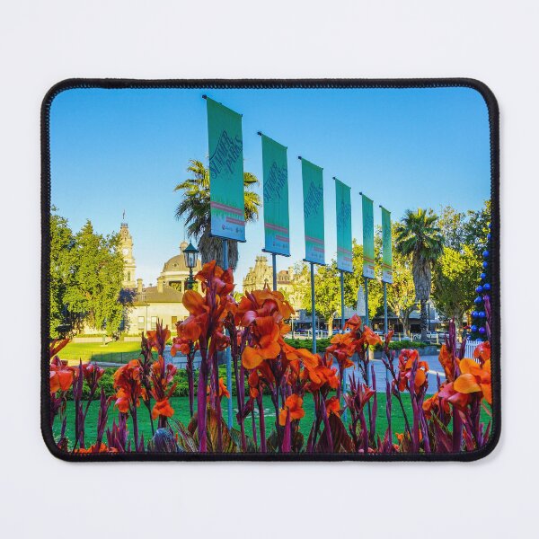 Item preview, Flowering Christmas Eve in Bendigo - 2013 designed and sold by Steven Jodoin.