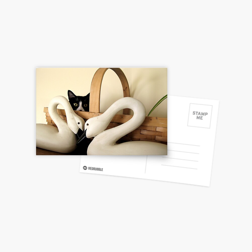 Item preview, Postcard designed and sold by alvinsan9.