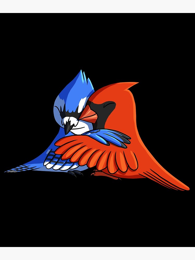red blue jays bird