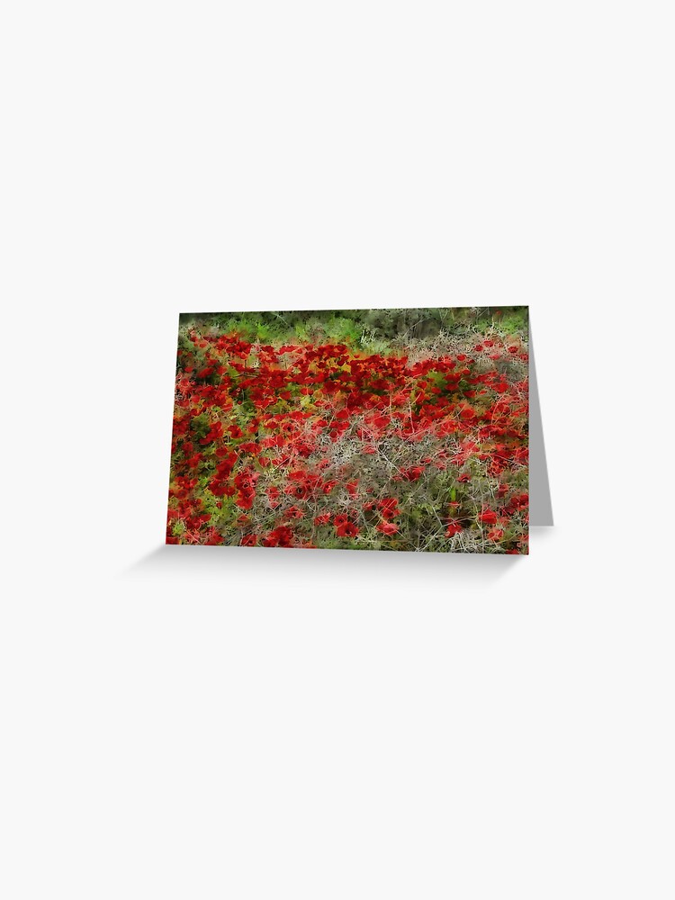 Tarjetas de felicitación «Hermosas anémonas de flores silvestres rojas Arte  abstracto» de taiche | Redbubble