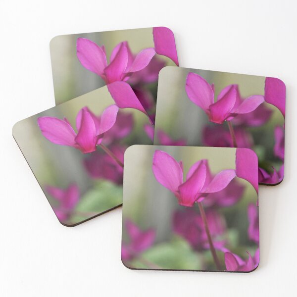 Item preview, Cyclamen bringing colour to winter designed and sold by imaginethis.