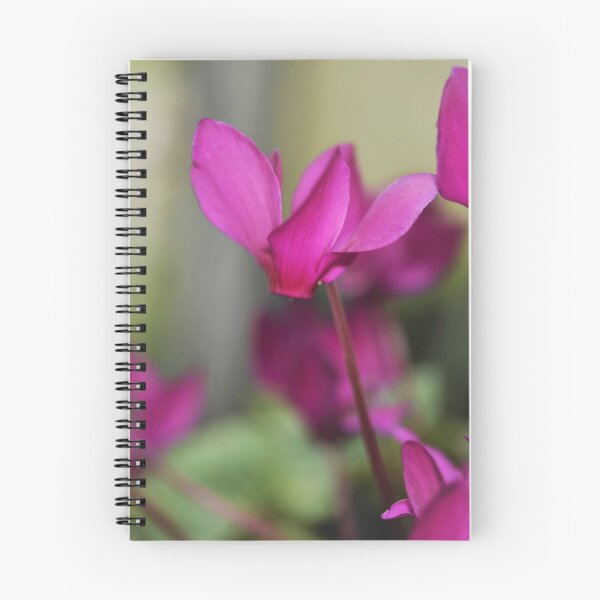 Item preview, Cyclamen bringing colour to winter designed and sold by imaginethis.