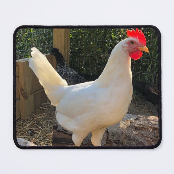 Item preview, White Leghorn Hen designed and sold by ArtbySBS.