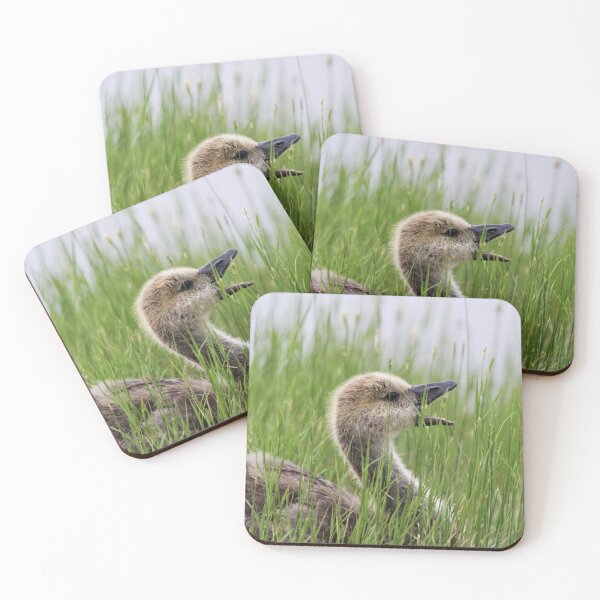 Item preview, Song of the Gosling designed and sold by Alyce Taylor.