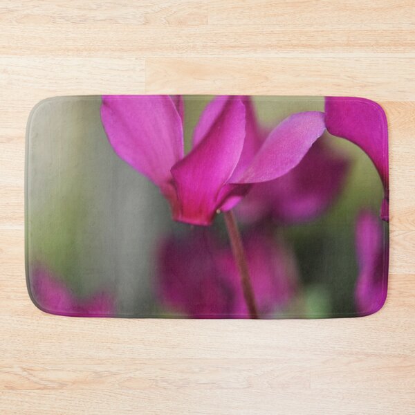 Item preview, Cyclamen bringing colour to winter designed and sold by imaginethis.