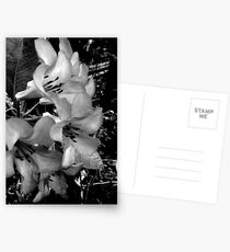 FOR ALL OCCASIONS Postcards
