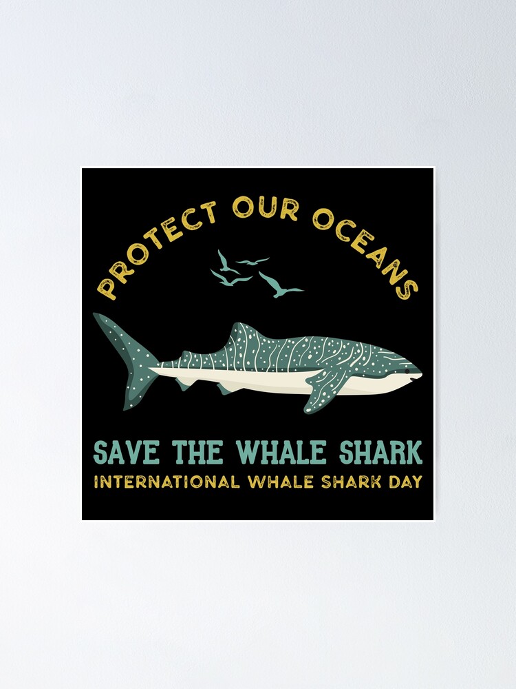 International Whale Shark Day - Save Our Seas Foundation