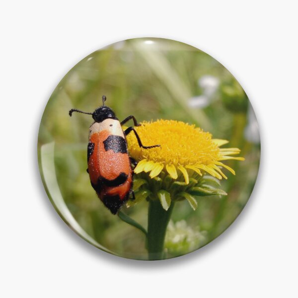 Item preview, Coccinellidae commonly called as Ladybird or Ladybug on a yellow colored flower with blurred background designed and sold by SuvethaSukumar.