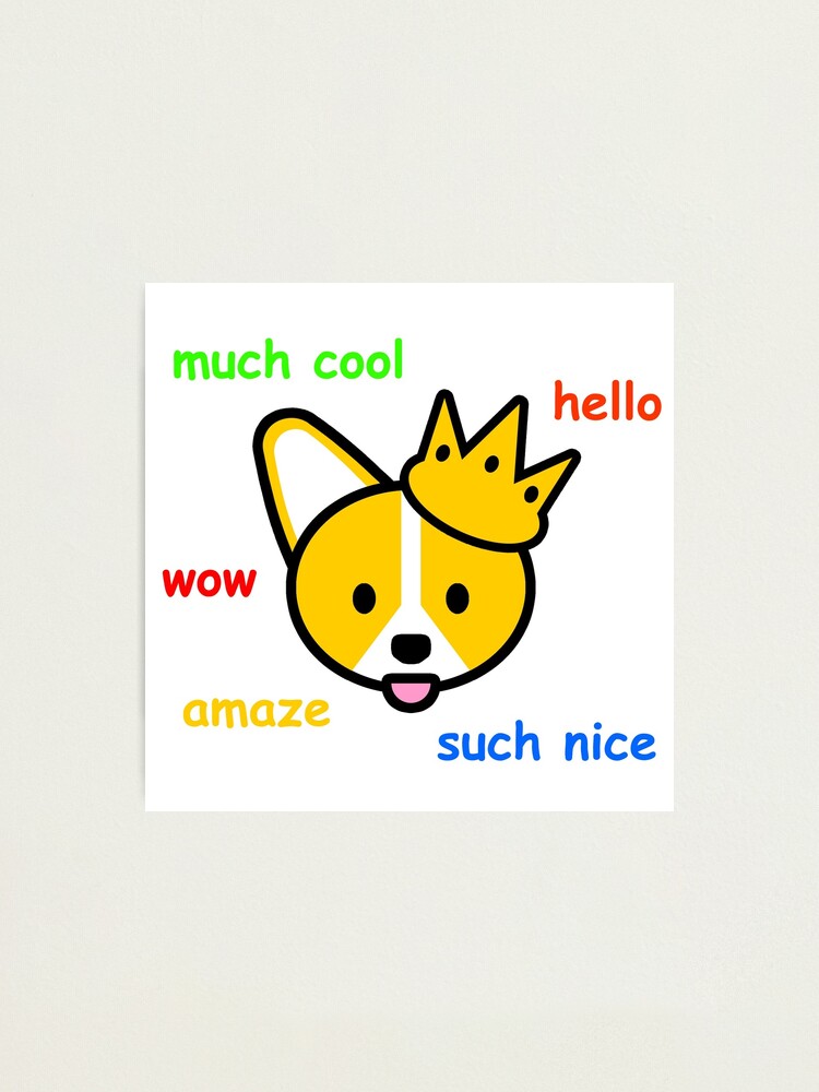 Comic Sans Corgi Shiba Inu Doge Meme Dog Photographic Print By Jayrauler Redbubble - doge loaf roblox