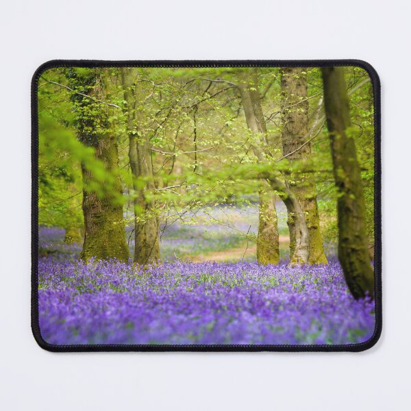 Item preview, Fairy tale bluebell woods in springtime designed and sold by CyaniRose.