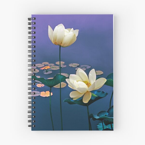 Item preview, Devoted designed and sold by Jessica Jenney.