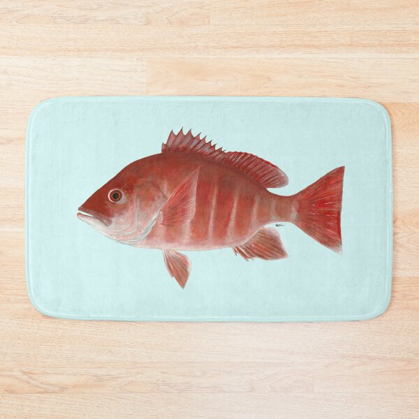 Item preview, Red Snapper (Lutjanus campechanus) designed and sold by LeakyCanoeArt.