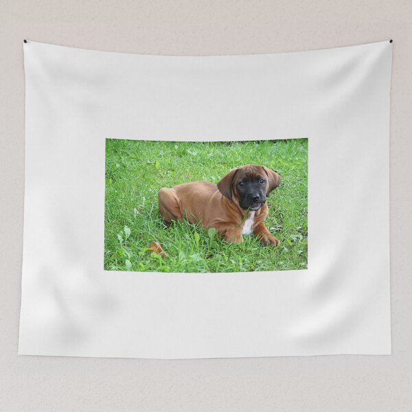 Item preview, Puppy Midori designed and sold by Jo Nijenhuis.