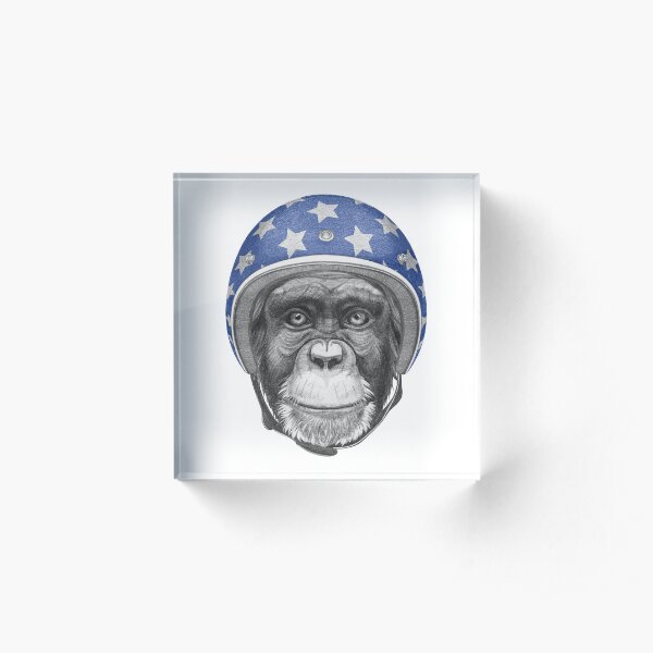 Monkey Acrylic Block