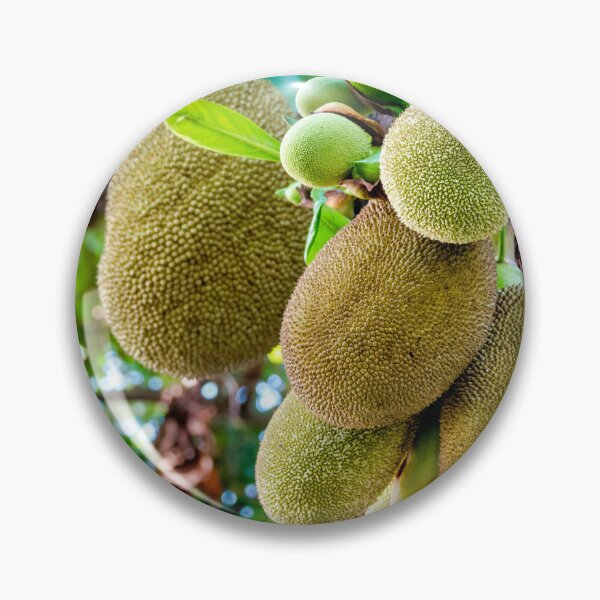 Item preview, Jackfruit designed and sold by troianifabrizio.