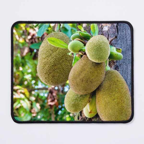 Item preview, Jackfruit designed and sold by troianifabrizio.