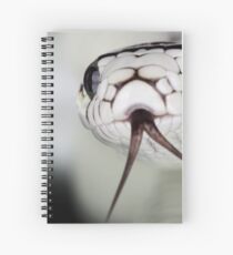 Snake Spiral Notebook