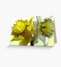 Diaphany Greeting Card