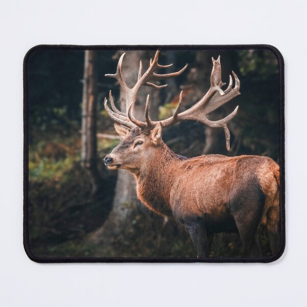 Item preview, ANIMALS #60 - Elk with Magnificent Antlers designed and sold by DEL-Productions.