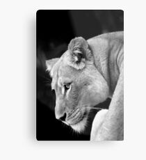 Magestic Metal Print