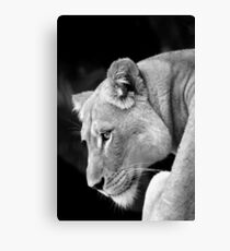 Magestic Canvas Print