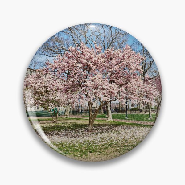 Item preview, Blooming Tree during Spring in Elysian Park Hoboken  designed and sold by Kurt Gardiner.